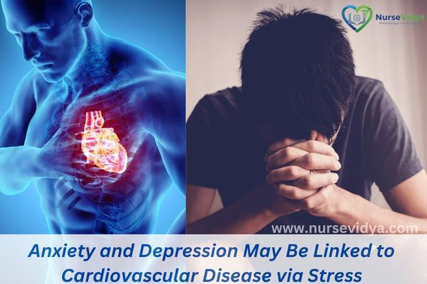 Anxiety and Depression May Be Linked to Cardiovascular Disease via Stress